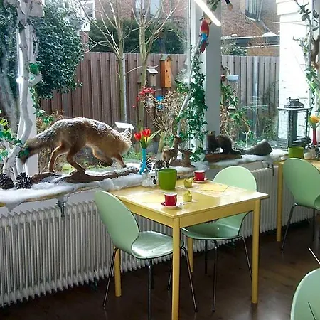 Hotel Hoogland Aan Zee 3*
